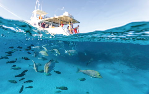 Coral Bay - Taree Accommodation 1