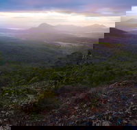 Cunninghams Gap and Spicers Gap Main Range National Park - Taree Accommodation