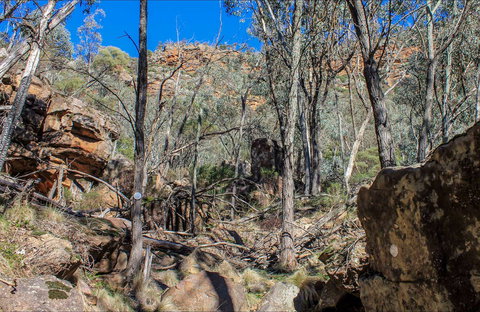 Eualdrie Walking Track - Taree Accommodation 0