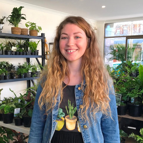 Fancy Plants - Taree Accommodation 2