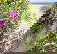 Fort Bribie - Taree Accommodation