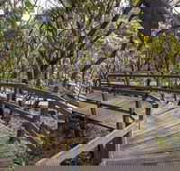 Governor Summit Corrunbral Borawah Walking Track - Taree Accommodation