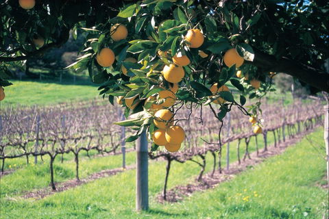 Harvey - Taree Accommodation 0