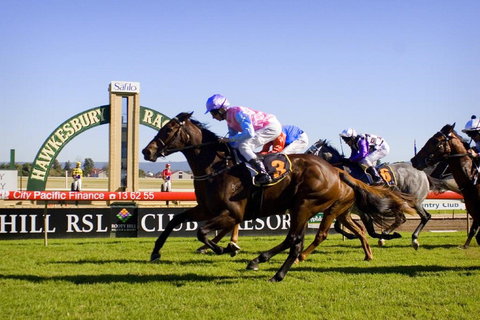 Hawkesbury Race Club - Taree Accommodation 0