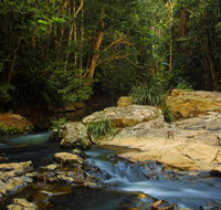 Jumrum Creek Walk Jumrum Creek Conservation Park - Taree Accommodation