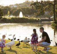 Lake Alford Recreational Park - Taree Accommodation
