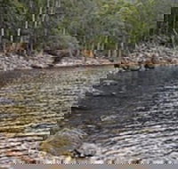 Lake Rowallan - Taree Accommodation