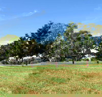 Leacock Picnic Area - Taree Accommodation