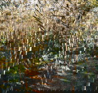 Leeuwin-Naturaliste National Park - Cowaramup