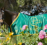 Living Legends The International Home of Rest for Champion Horses - Taree Accommodation