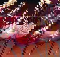 Loviz Arts Gallery - Taree Accommodation