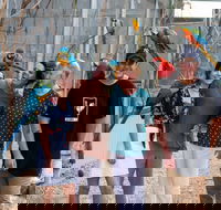 Maleny Botanic Gardens and Bird World - Taree Accommodation