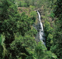 Mapleton Falls National Park - Taree Accommodation