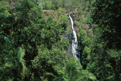 Mapleton Falls National Park - Taree Accommodation 0