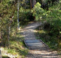 McDirtys Walking Track - Taree Accommodation