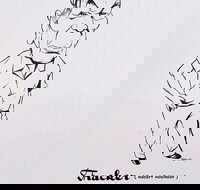 Nickname Hall of Fame - Taree Accommodation