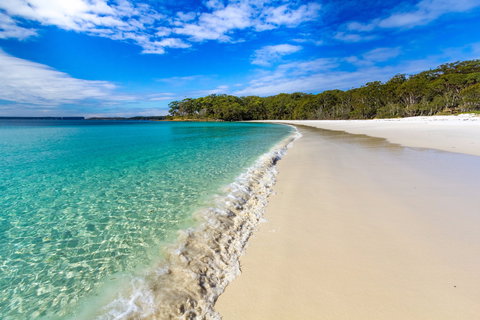 NSW Jervis Bay National Park - Taree Accommodation 0