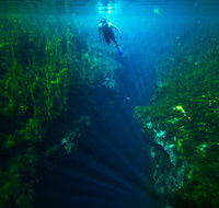Piccaninnie Ponds Conservation Park - Taree Accommodation