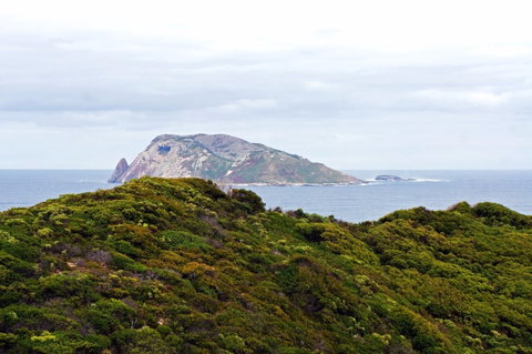 Point D'Entrecasteaux - Taree Accommodation 0