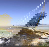 Sailing Club picnic area - Taree Accommodation