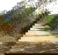 The Bloomfield Track - Taree Accommodation