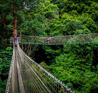 Thunderbird Park  - Tamborine Mountain Gold Coast Region - Taree Accommodation