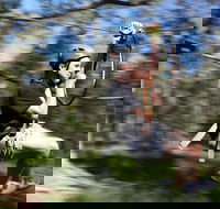 TreeTops Western Sydney - Taree Accommodation