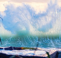 Tugun - Taree Accommodation