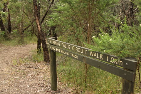 Waterfall Gully - Kings Falls Circuit Walk - Taree Accommodation 0