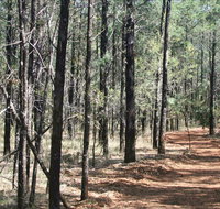Yana-y Warruwi Walking Track - Taree Accommodation