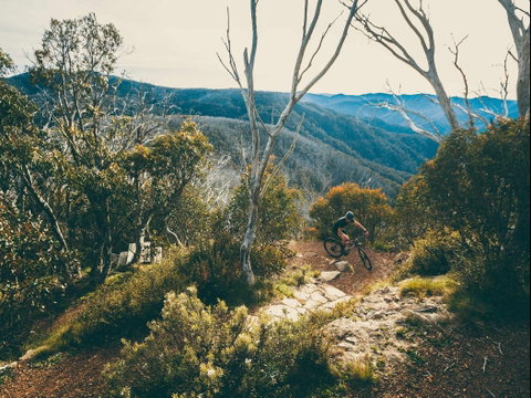 Australian Alpine Epic Mountain Bike Trail - Taree Accommodation 1