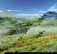 Bega - Taree Accommodation