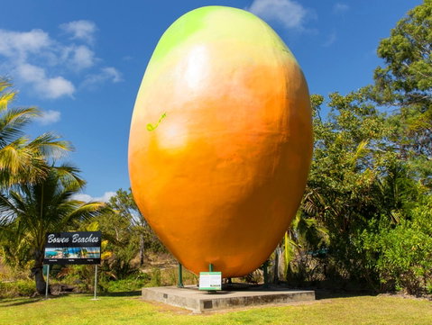 Big Mango - Taree Accommodation 0