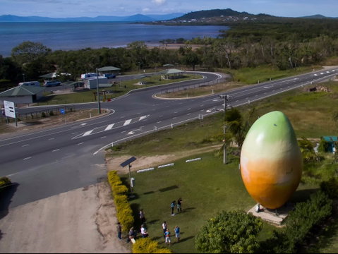 Big Mango - Taree Accommodation 1
