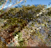 Boonoo Boonoo Falls picnic area - Taree Accommodation