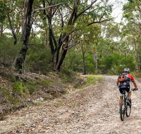 Cawleys Road trail - Taree Accommodation