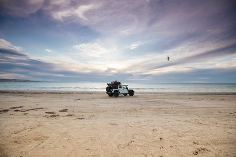Coorong National Park - Taree Accommodation 0