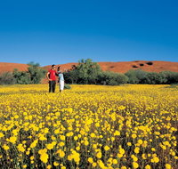 Coorow Farm Wildflower Trail - Taree Accommodation