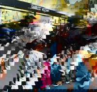 Crystal Kingdom - Taree Accommodation