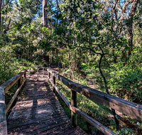 Dawson River Walking Track - Taree Accommodation