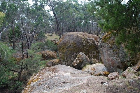 Dergholm State Park - Taree Accommodation 0