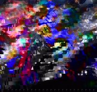 Didgeridoo Festivals - Taree Accommodation