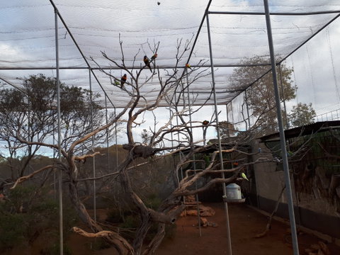 Eyre Reptile & Wildlife Park - Taree Accommodation 2