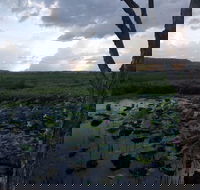 Fogg Dam Conservation Reserve