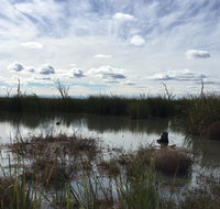 Gwydir Wetlands Moree - Taree Accommodation