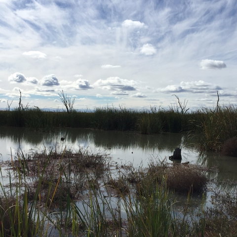 Gwydir Wetlands Moree - Taree Accommodation 0