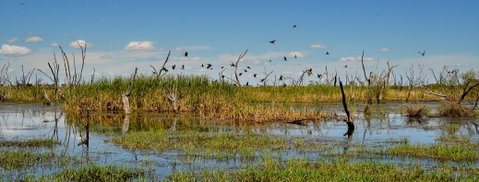 Gwydir Wetlands Moree - Taree Accommodation 1