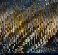 Hastings Caves and Thermal Springs - Taree Accommodation