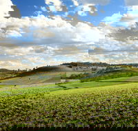 Hodgson Vale - Taree Accommodation