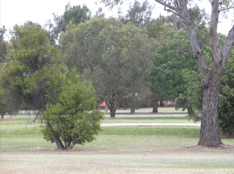 Holbrook Golf Course - Taree Accommodation 0